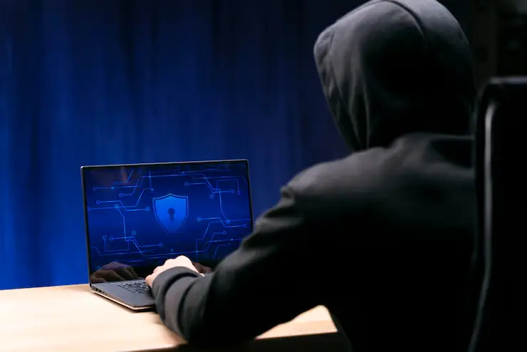 doge cybersecurity concerns opm